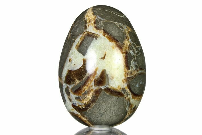 Calcite Crystal Filled Septarian Egg - Utah #322351